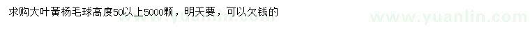 求購高50公分以上大葉黃楊球