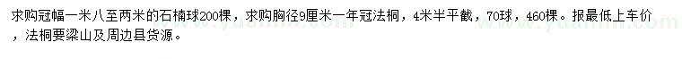 求購冠幅1.8-2米石楠球、胸徑9公分法桐