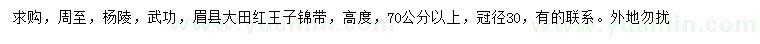 求購高70公分以上紅王子錦帶