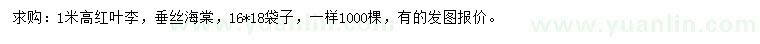 求購高1米紅葉李、垂絲海棠