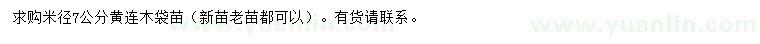 求購米徑7公分黃連木