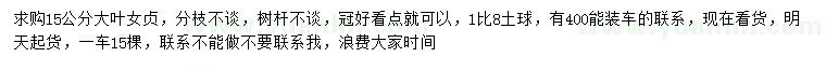求購15公分大葉女貞