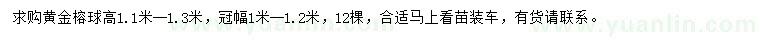 求購高1.1-1.3米黃金榕球