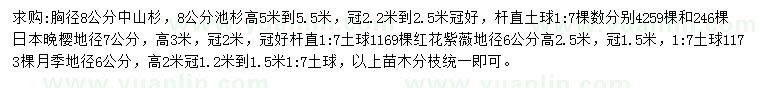 求購(gòu)中山杉、池杉、日本晚櫻等