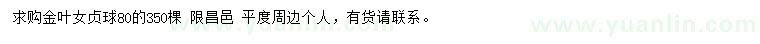 求購金葉女貞球