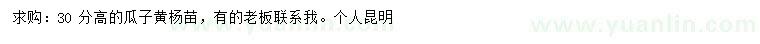 求購(gòu)高30公分瓜子黃楊