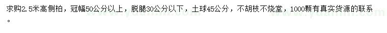 求購冠幅50公分以上側(cè)柏