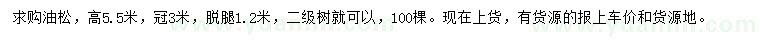 求購(gòu)冠幅3米油松