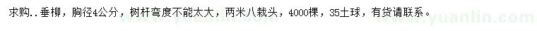 求購胸徑4公分垂柳