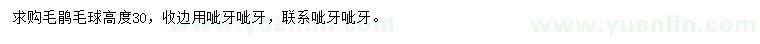 求購高30公分毛鵑毛球