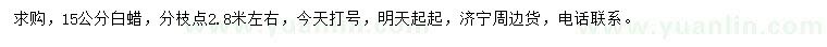 求購(gòu)15公分白蠟