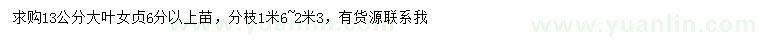 求購(gòu)13公分大葉女貞