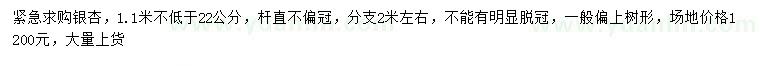 求購1.1米量22公分銀杏