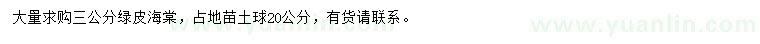 求購3公分綠皮海棠