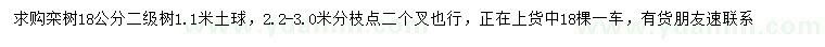 求購(gòu)18公分欒樹