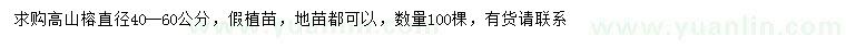 求購40-60公分高山榕