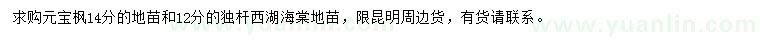 求購(gòu)14公分元寶楓、12公分西湖海棠