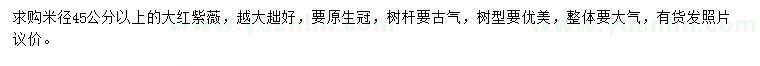 求購米徑45公分以上大紅紫薇