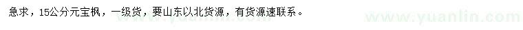 求購15公分元寶楓