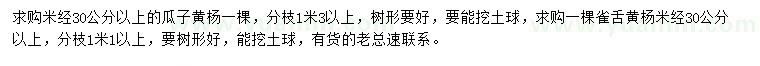 求購米徑30公分以上瓜子黃楊、雀舌黃楊