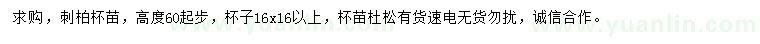 求購高60公分以上刺柏