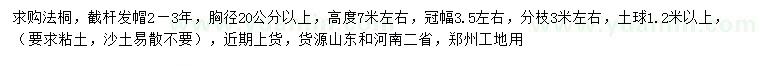 求購胸徑20公分以上法桐