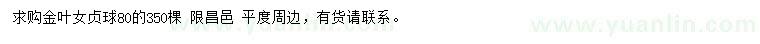 求購80公分金葉女貞球