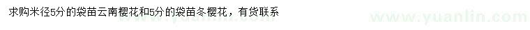 求購米徑5公分云南櫻花、冬櫻花