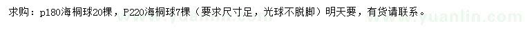 求購(gòu)冠幅180、220公分海桐球