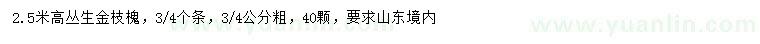 求購高2.5米叢生金枝槐