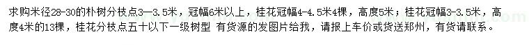 求購米徑28-30公分樸樹、冠幅3-3.5、4-4.5公分桂花