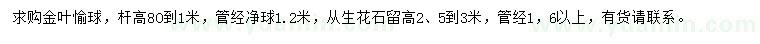 求購(gòu)高0.8-1米金葉愉球、高2.5-3米叢生花石榴