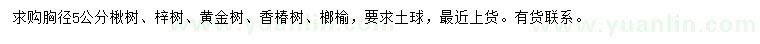 求購楸樹、梓樹、黃金樹等