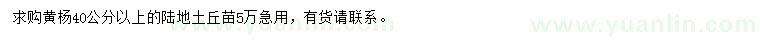求購40公分以上黃楊