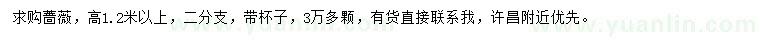 求購高1.2米以上薔薇