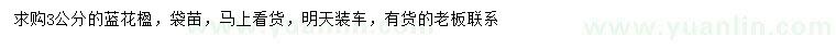 求購3公分藍(lán)花楹