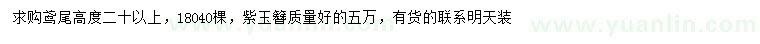 求購高20公分以上鳶尾、紫玉簪