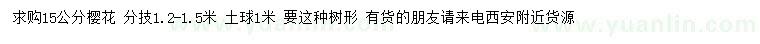 求購15公分櫻花