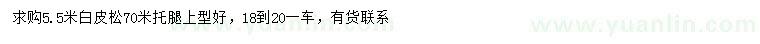 求購(gòu)5.5米白皮松