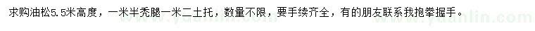 求購高5.5米油松