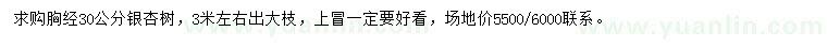 求購(gòu)胸徑30公分銀杏樹