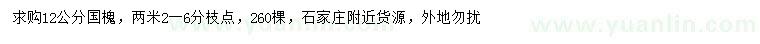 求購(gòu)12公分國(guó)槐