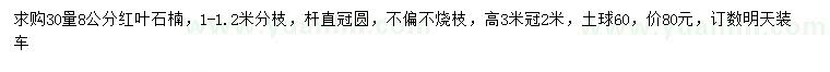 求購30量8公分紅葉石楠