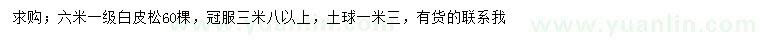 求購(gòu)6米白皮松