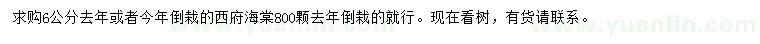 求購6公分西府海棠