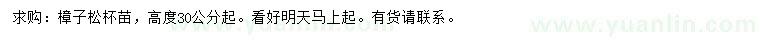 求購高30公分以上樟子松