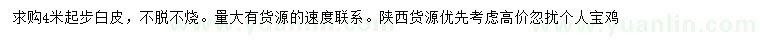 求購4米以上白皮松