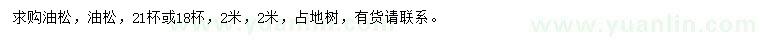 求購(gòu)2米油松