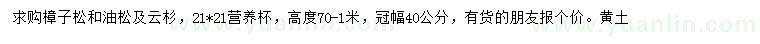 求購樟子松、油松、云杉