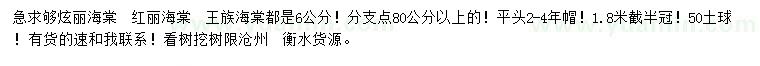 求購(gòu)炫麗海棠、紅麗海棠、王族海棠